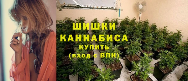 хмурый Белокуриха