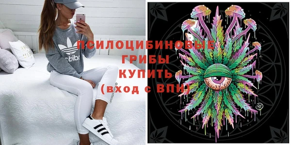 хмурый Белокуриха