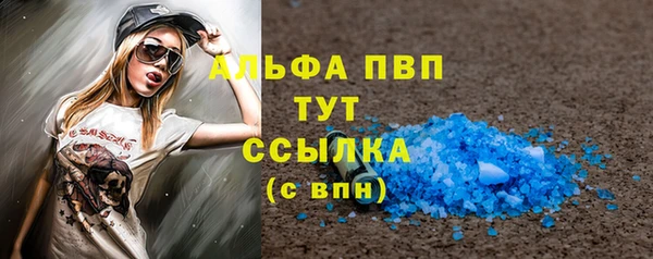 хмурый Белокуриха