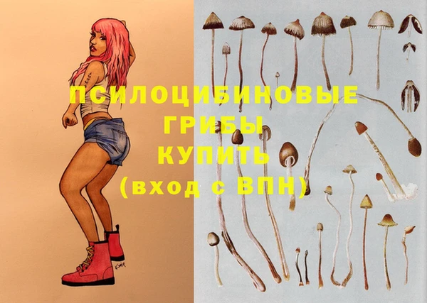 стафф Беломорск