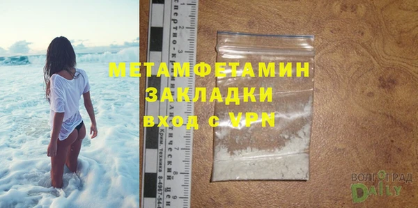 хмурый Белокуриха