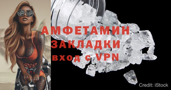 хмурый Белокуриха