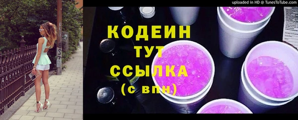 хмурый Белокуриха