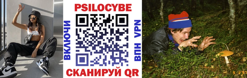 Галлюциногенные грибы Psilocybe Волжский